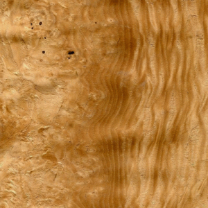 Chestnut-Burl